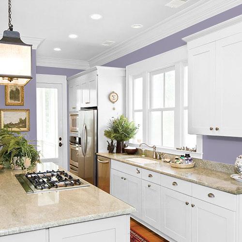 Purple Surf PPG1173-5