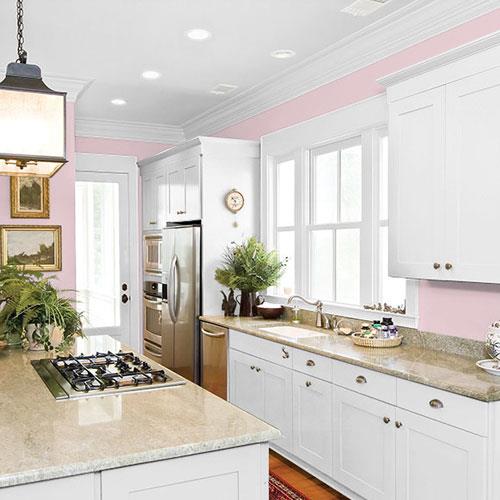 Rose Cloud PPG1048-3