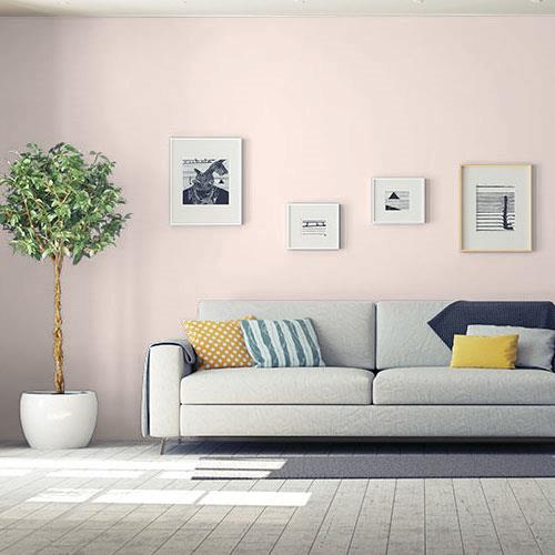Apricot Cream PPG1059-1