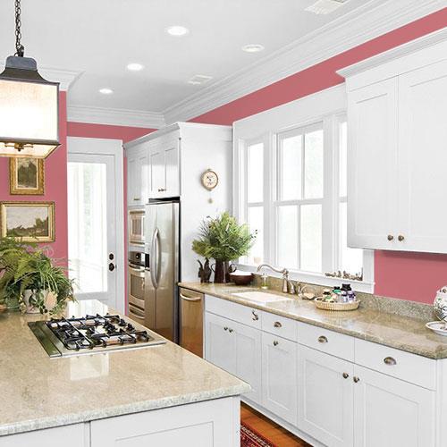Cranberry PPG1051-5