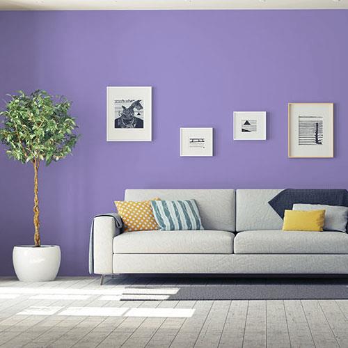 Magic Carpet PPG1248-6