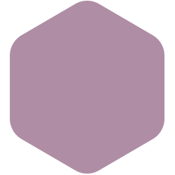 Palisade Orchid PPG1178-5