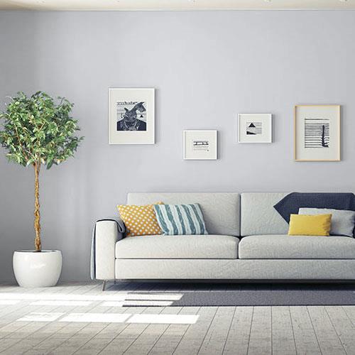 Silvery Moonlight 50BG 63/014