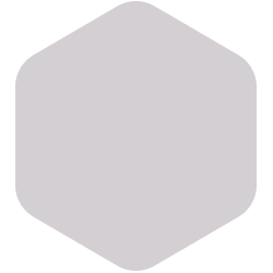 Wisdom Grey 30RR 63/011