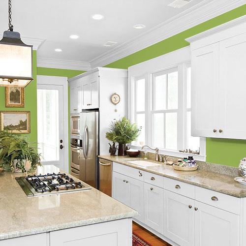 Asparagus PPG1222-6