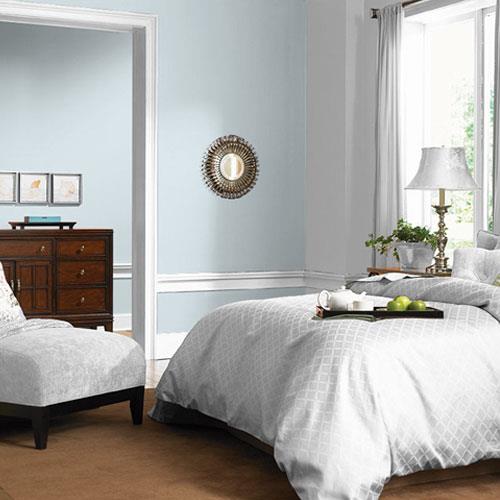 Baby's Breath PPG1158-1