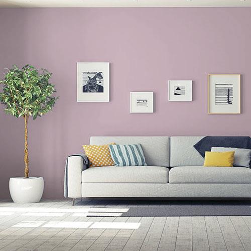 Hint Of Mauve 30RR 42/079