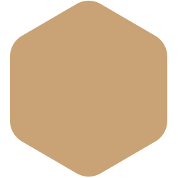 Outback  PPG1088-5