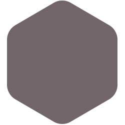 Black Frosted Plum 50RR 14/045