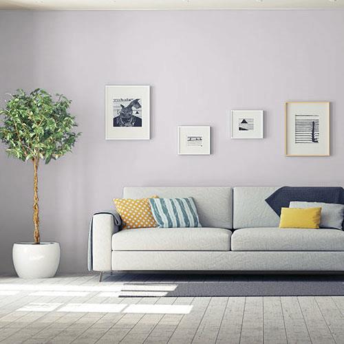 Wisdom Grey 30RR 63/011