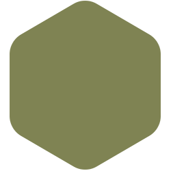 Oregano PPG1122-6