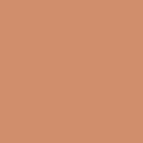 Cinnamon Brandy PPG1199-5