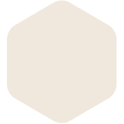 Percale PPG1083-1