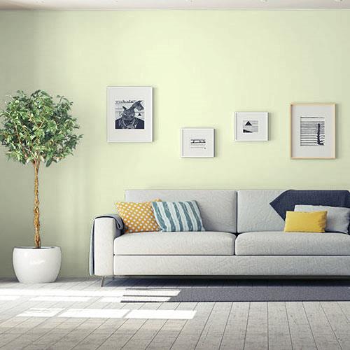 Honeydew Melon PPG1222-2
