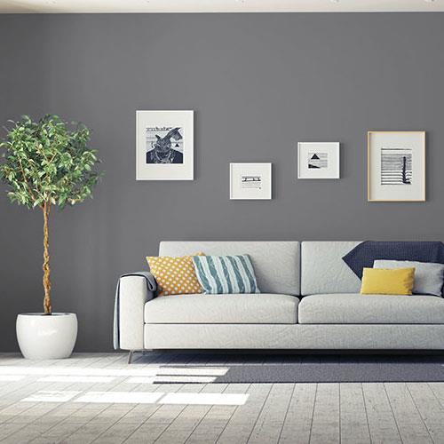Elegant Charcoal 00NN 20/000