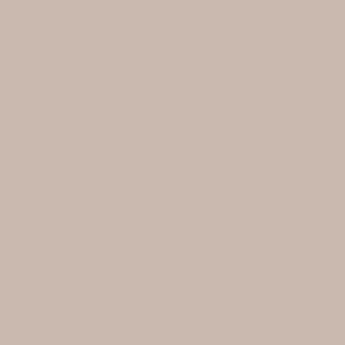 Mocha Bisque 90YR 49/085