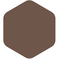 Caramelized Walnut PPG1074-6