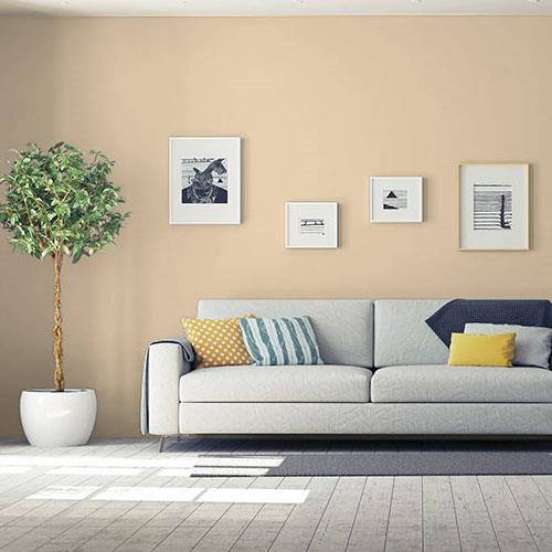 Classic Ivory 20YY 57/178